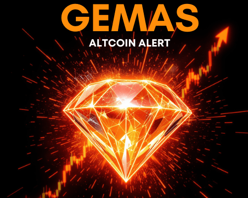 Gemas Altcoin Alert is the strategic core of TWR: a complete system created for those who want to learn about the cryptocurrency market.