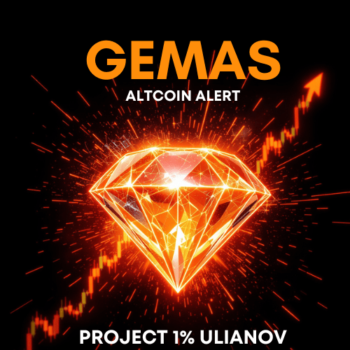 Gemas Altcoin Alert is the strategic core of TWR: a complete system created for those who want to learn about the cryptocurrency market.