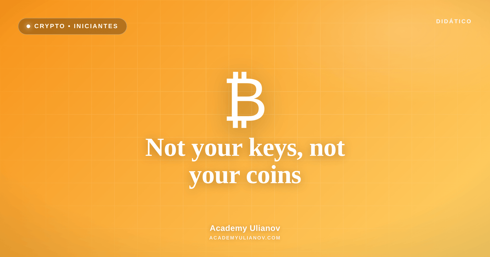 Academy Ulianov — Not your keys, not your coins: a soberania das chaves