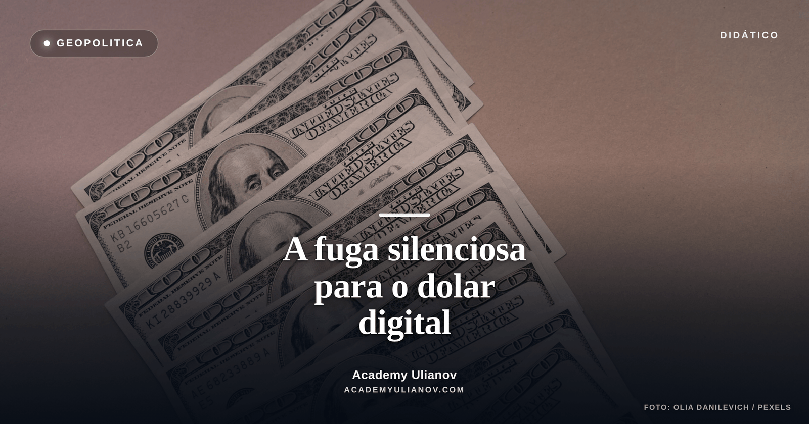 Academy Ulianov — Controle de capital: a fuga silenciosa para o dolar digital · Foto: olia danilevich / Pexels