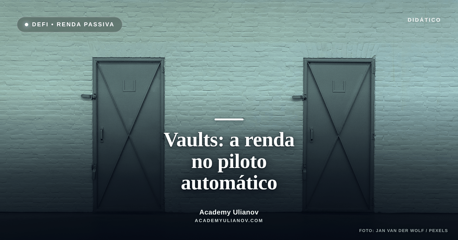 Academy Ulianov — Vaults: os cofres que colocam a renda no piloto automático · Foto: Jan van der Wolf / Pexels