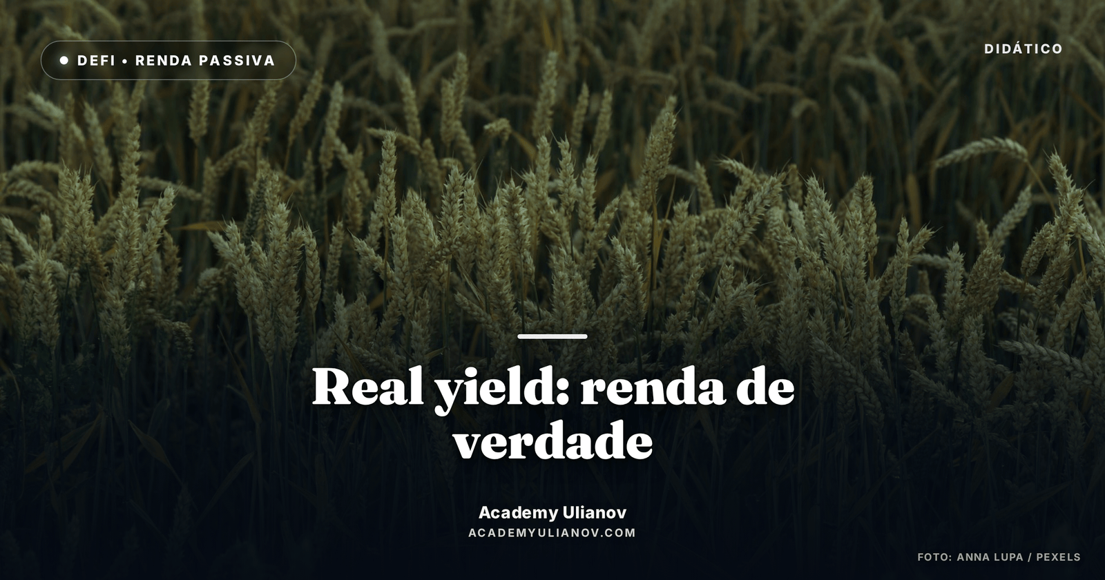 Academy Ulianov — Real yield: a diferença entre renda de verdade e dinheiro impresso · Foto: Anna Lupa / Pexels