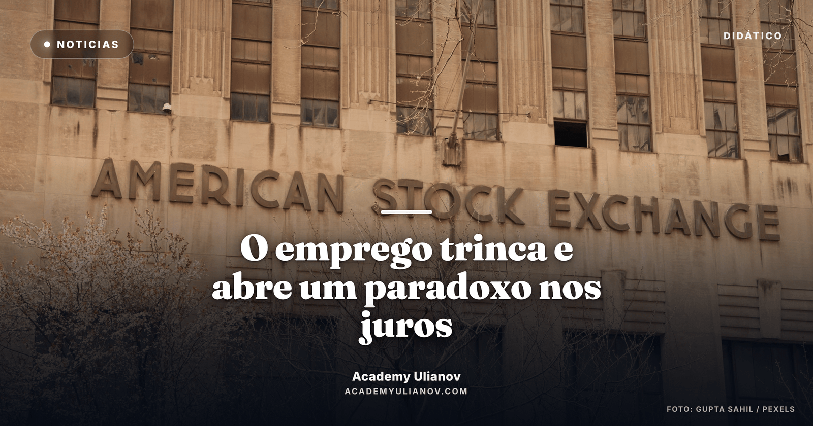 Academy Ulianov — 29 mil vagas: o emprego trinca e abre um paradoxo nos juros · Foto: Gupta Sahil / Pexels